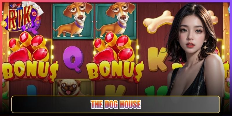 The Dog House Rikvip Cún Cưng Mang Lộc Về Đầy Tài Khoản Cược